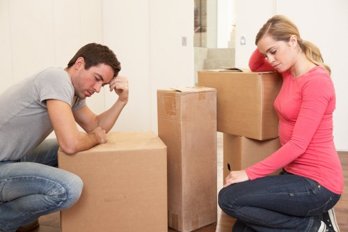 Packed boxes and furniture prepared for a flat removal